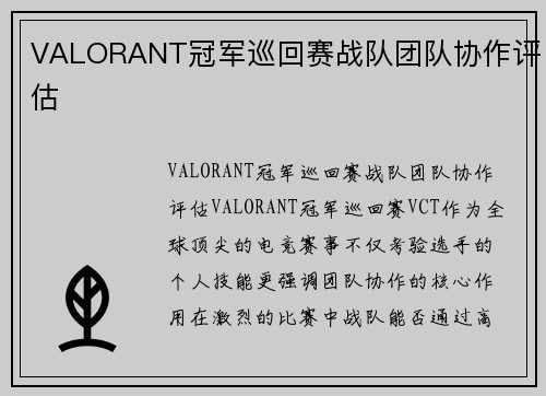VALORANT冠军巡回赛战队团队协作评估